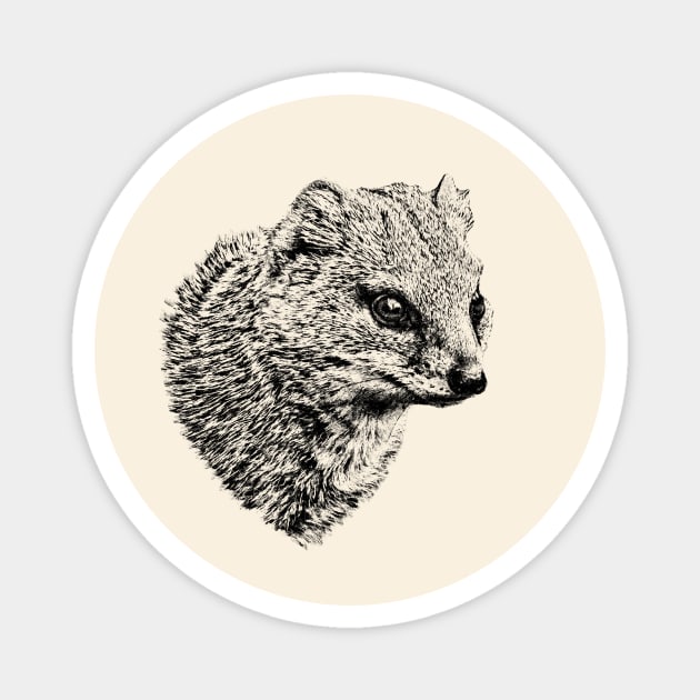 Yellow mongoose Magnet by Guardi